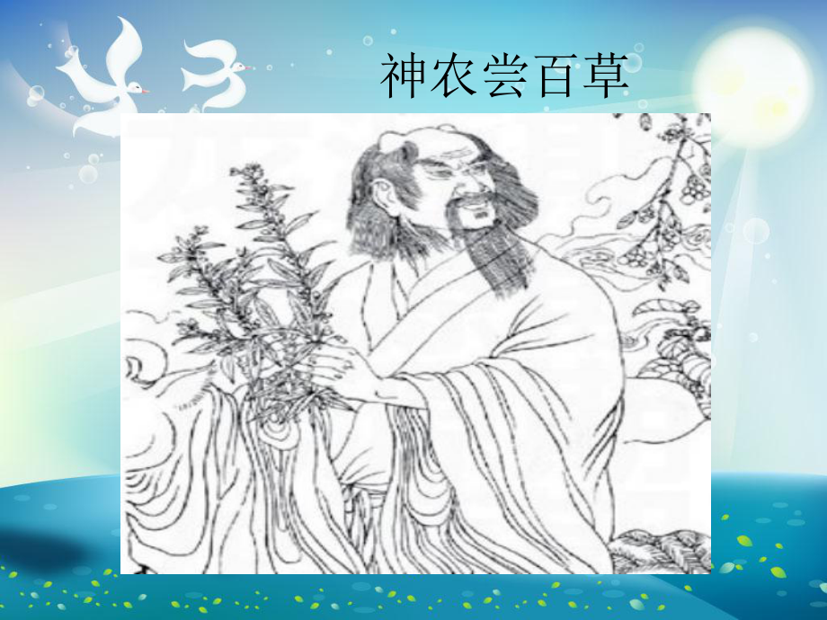 中草药的认识课件.ppt_第3页