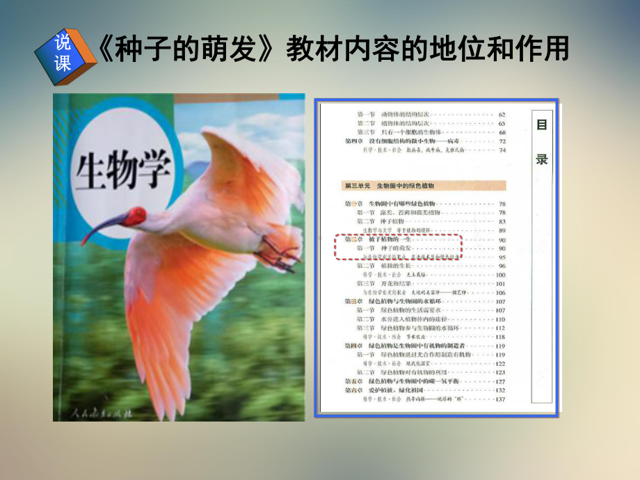 人教版七年级上册生物种子的萌发说课课件.ppt_第3页