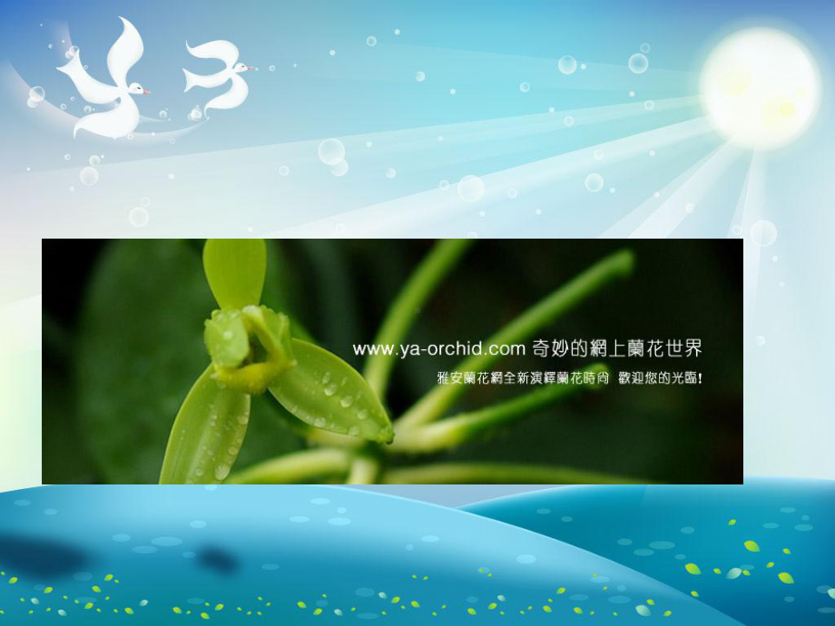 分生繁殖课件.ppt_第2页