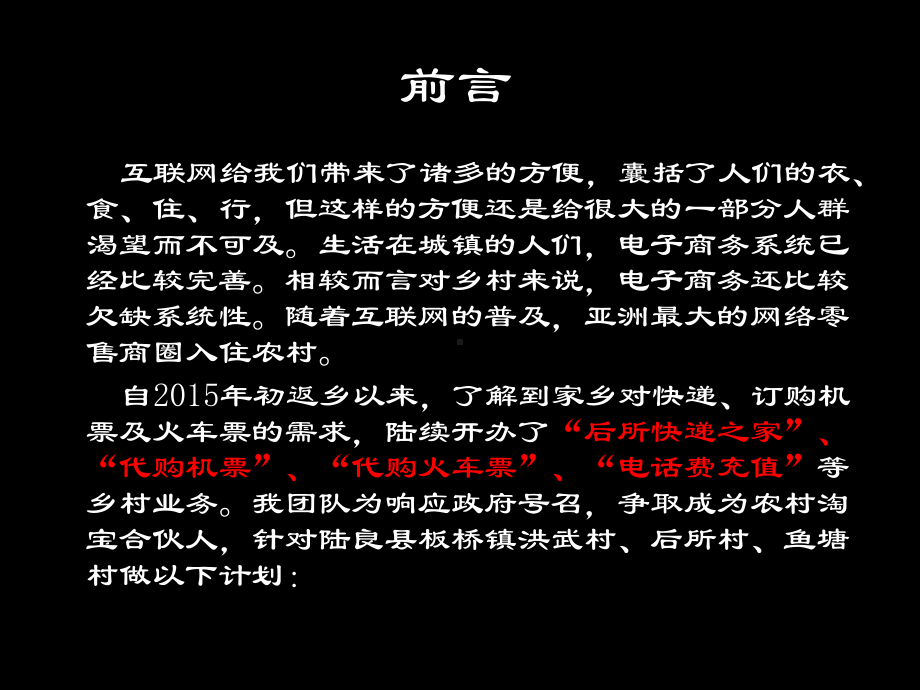 农村淘宝-执行计划书剖析课件.ppt_第3页