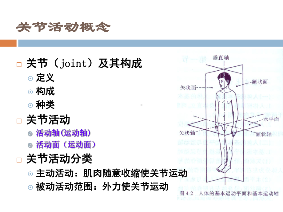 关节活动度测量课件.ppt_第3页