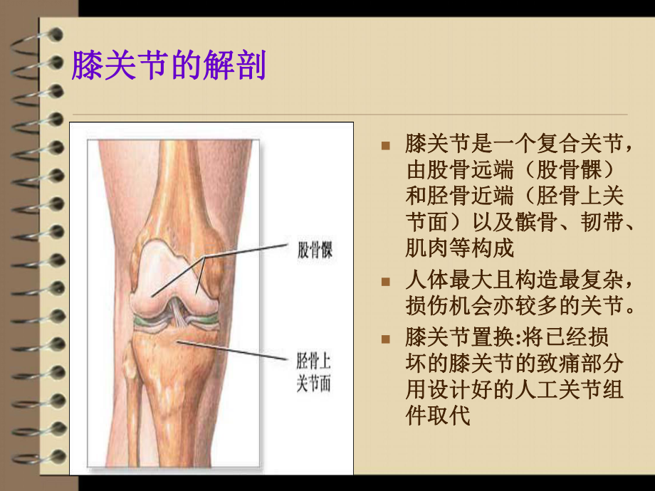 人工全膝关节置换术后护理PPT课件.ppt_第2页