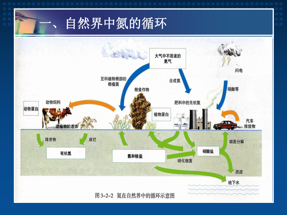 人教版高中化学复习-氮的循环-课件-(共29张PPT).ppt_第3页