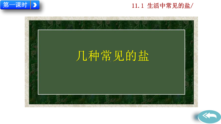 人教版化学九年级下册第十一单元-盐-化肥-课件.pptx_第2页