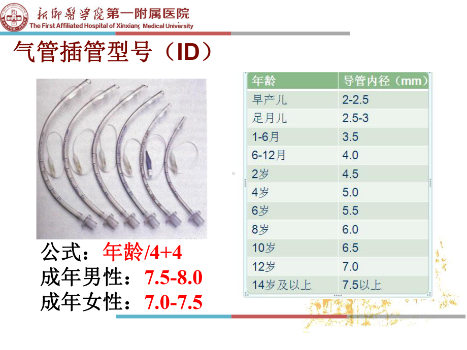 医学气管插管内吸痰技术PPT培训课件.ppt_第2页