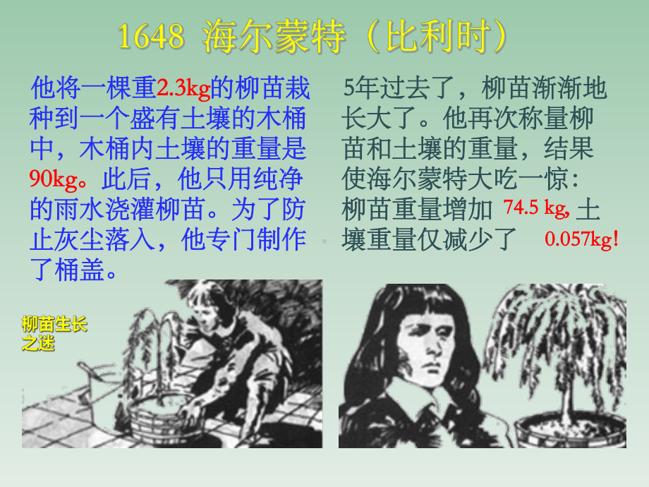 北师大版七年级生物上册-5.1-光合作用课件(共30页).ppt_第3页