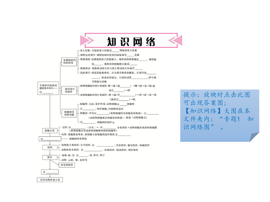 北师大版生物中考专题复习课件全套.pptx_第2页