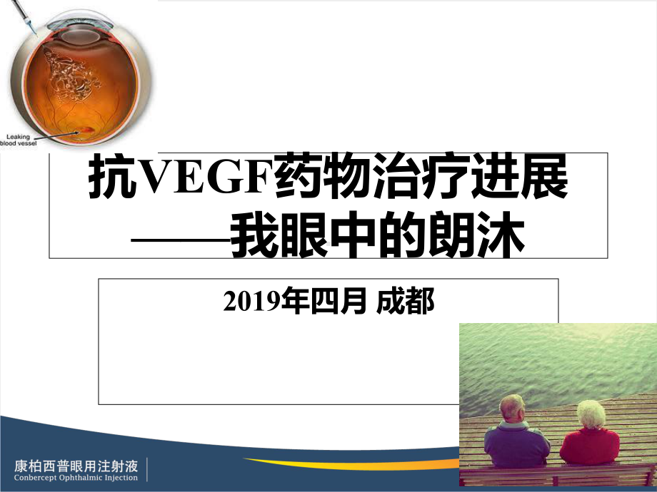 专家谈康柏西普ppt课件.ppt_第1页