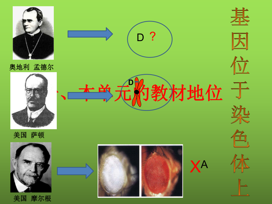 人教版高中生物必修二课件：遗传的分子基础单元教学设计(共118张PPT).ppt_第3页