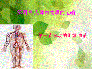 人教版第一节流动的组织-血液-PPT课件.ppt