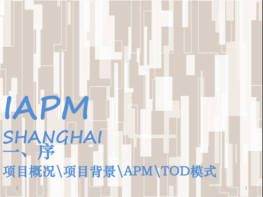 商业案例研究系列上海环贸广场IAPM参考课件.ppt_第2页