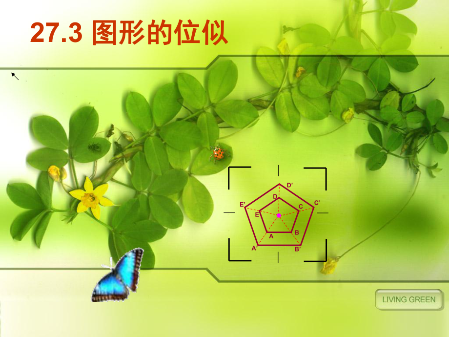 图形的位似》PPT课件.pptx_第3页