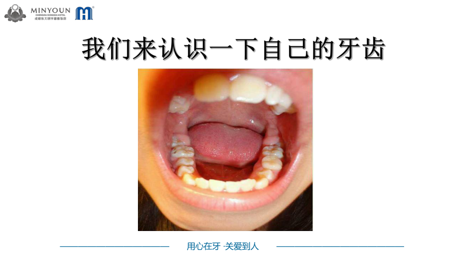 小小牙医宣讲PPT培训课件.ppt_第3页