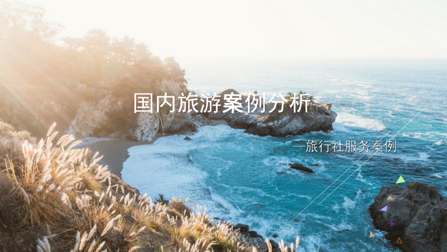 国内旅游案例分析PPT课件-旅行社服务案例.pptx_第1页