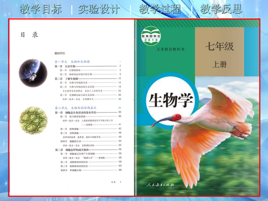 人教版生物七年级上册说课课件-《观察种子的结构》实验说课.pptx_第2页