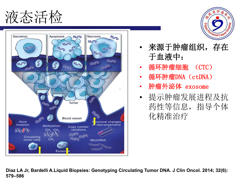 医学液体活检专业知识宣讲PPT培训课件.ppt_第3页