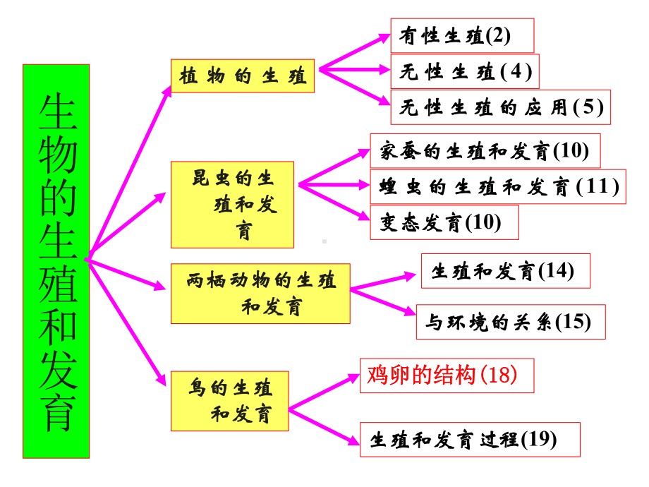 人教版八年级生物下册总复习课件(190张PPT).ppt_第3页