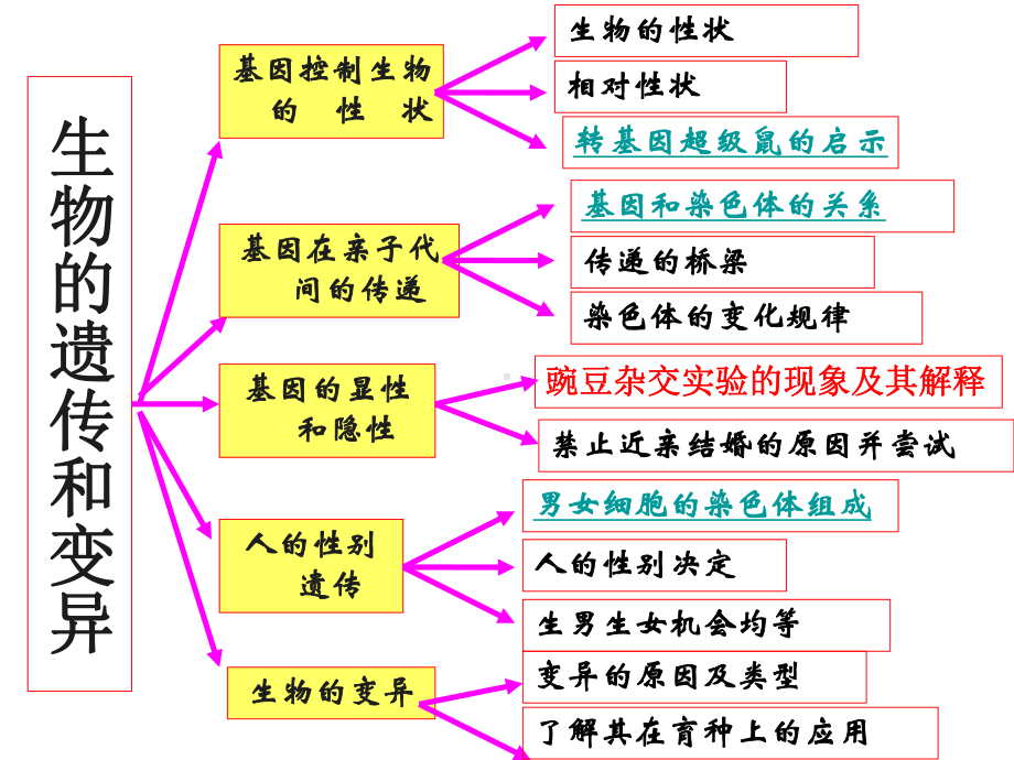 人教版八年级生物下册第七单元第二章-生物的遗传和变异复习课件(58张PPT).ppt_第2页