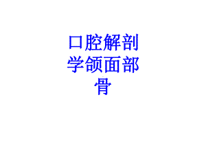 口腔解剖学颌面部骨PPT培训课件.ppt