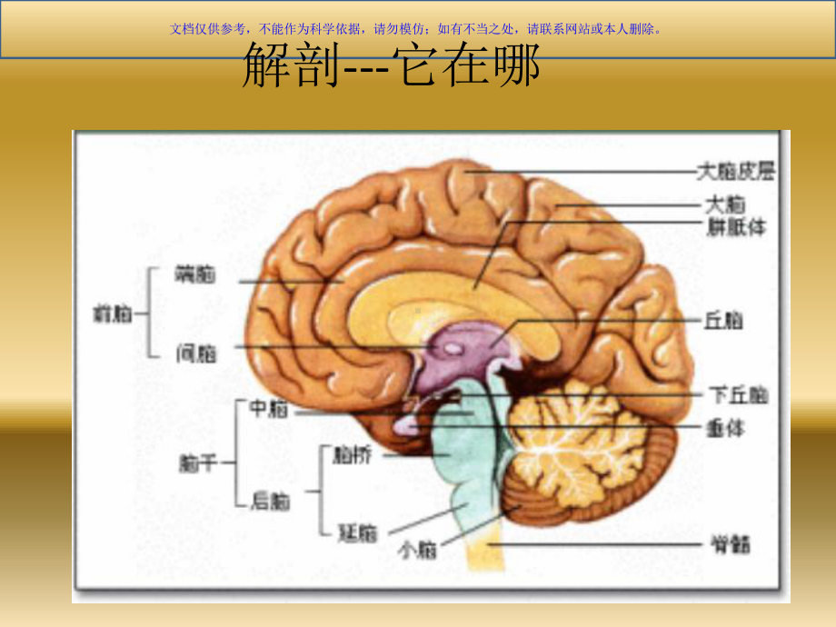 围手术期寒战发生机制及处理课件.ppt_第3页