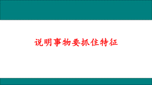 人教部编版八年级语文上册作文《说明事物要抓住特征》精品课件.ppt