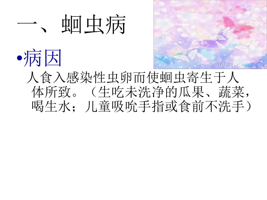 常见的寄生虫病及其预防课件.ppt_第2页