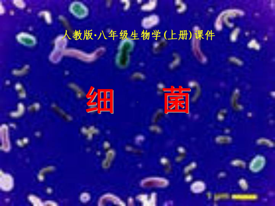 人教版八年级生物学(上册)课件.ppt_第1页