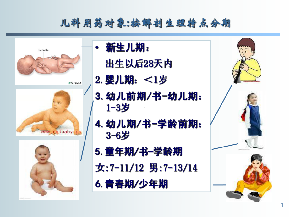 儿科合理用药优质PPT课件.ppt_第1页