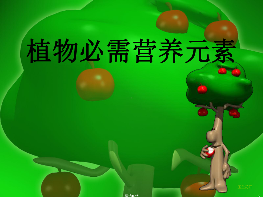 《植物必需营养元素》PPT课件.ppt_第1页