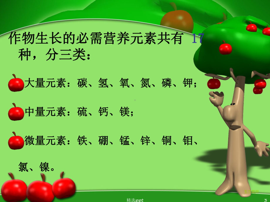 《植物必需营养元素》PPT课件.ppt_第3页