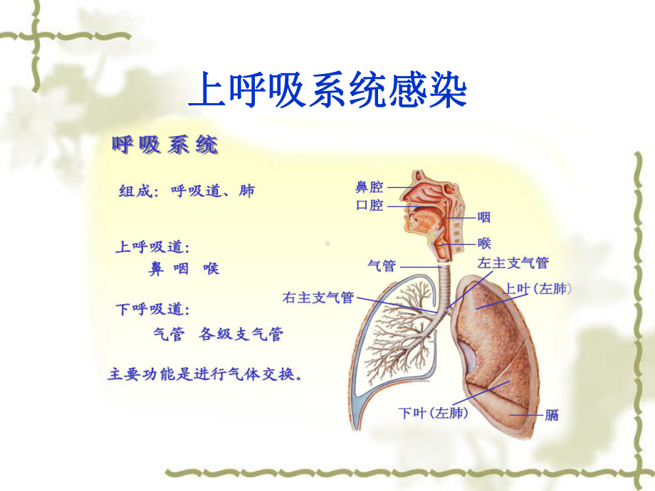 幼儿园常见传染病培训课件.ppt_第2页