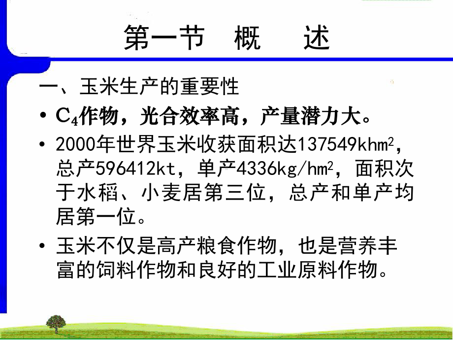 作物栽培学课件7玉米.ppt_第2页