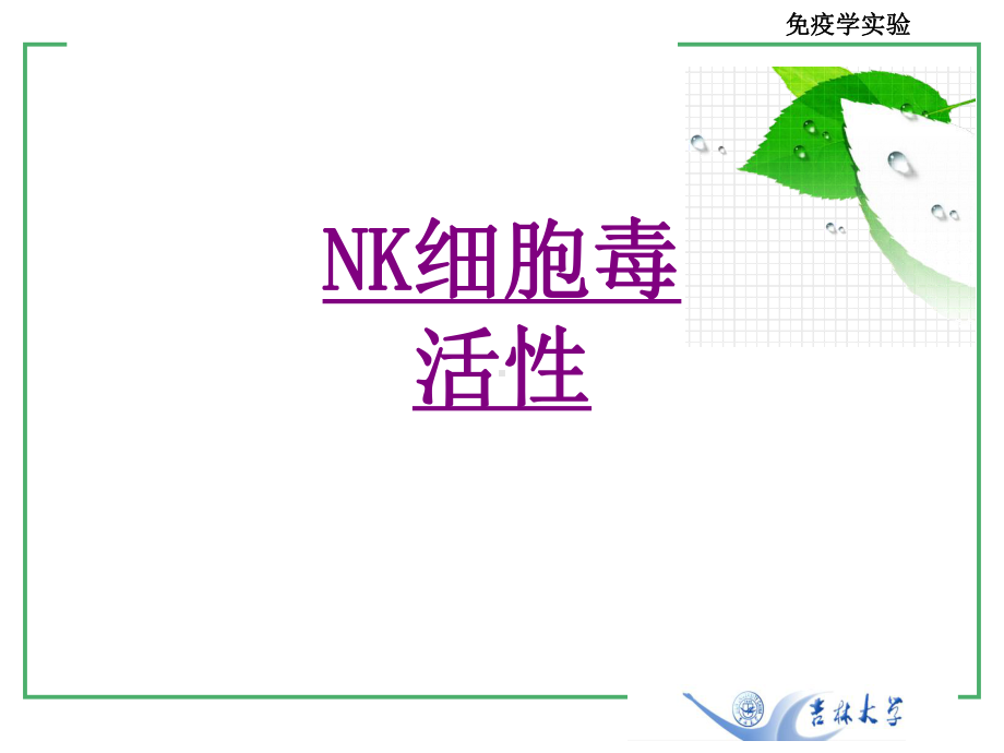 医学NK细胞毒活性ppt培训课件.ppt_第1页