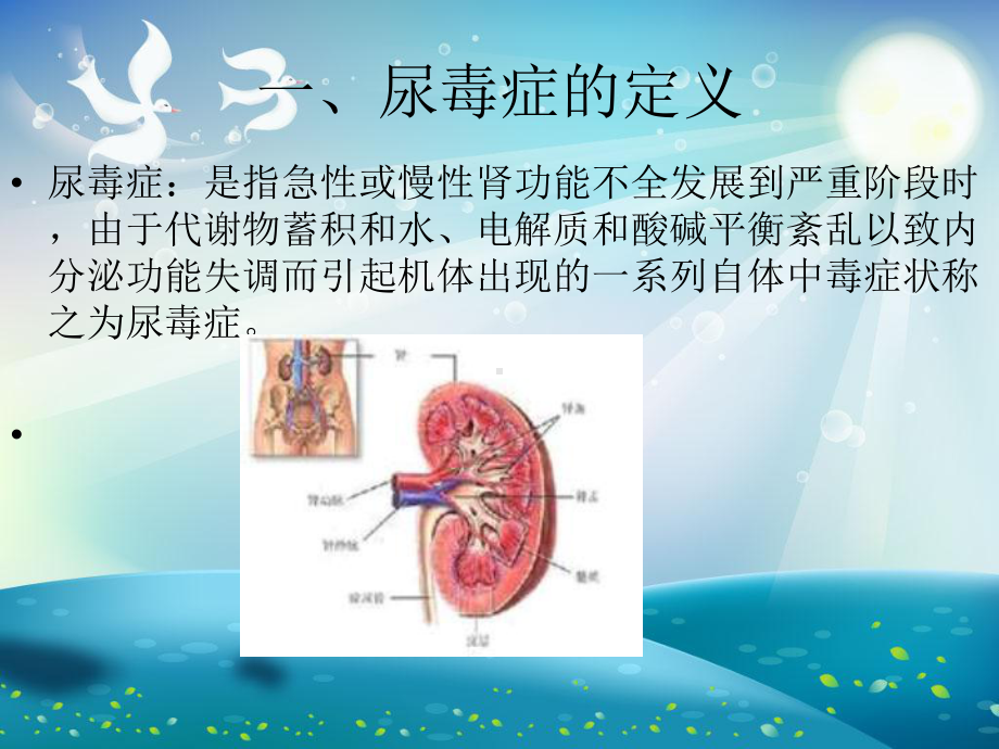 尿毒症病人的护理课件.ppt_第1页