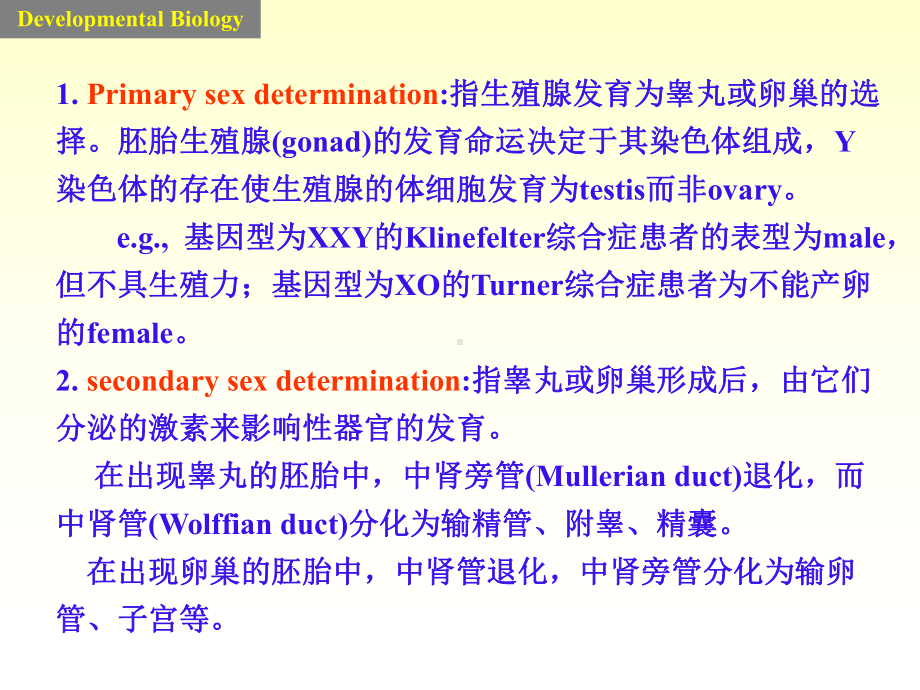 发育生物学性别鉴定-PPT课件.ppt_第3页