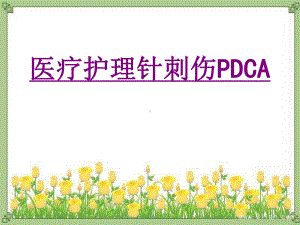 医疗护理针刺伤PDCA-PPT医学课件.ppt