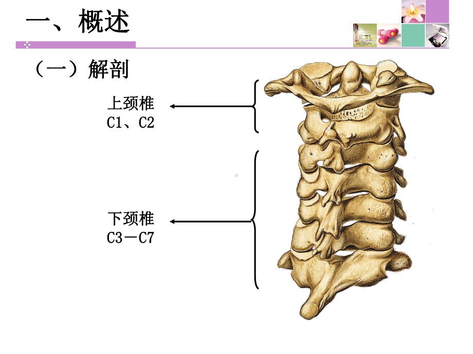 医学课件颈脊髓损伤患者的医疗护理.ppt_第2页