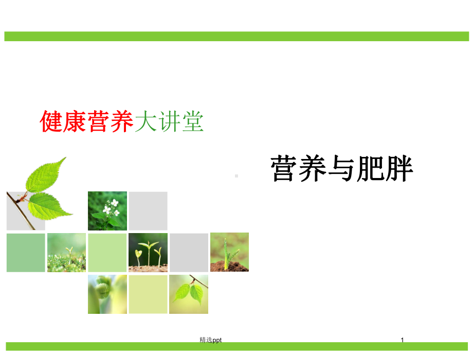 《营养与肥胖》PPT课件.ppt_第1页