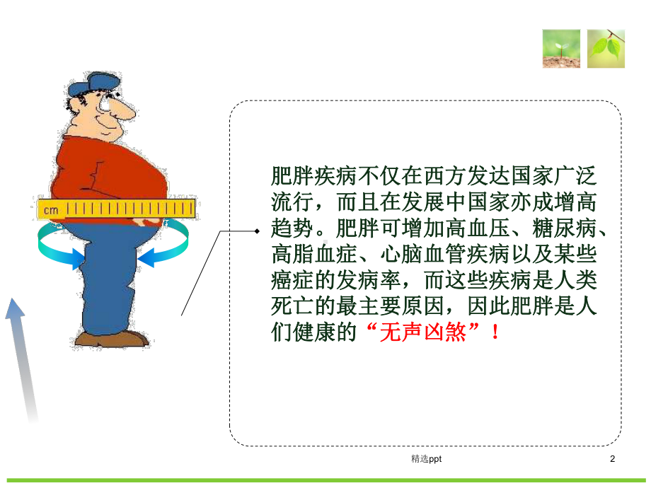 《营养与肥胖》PPT课件.ppt_第2页