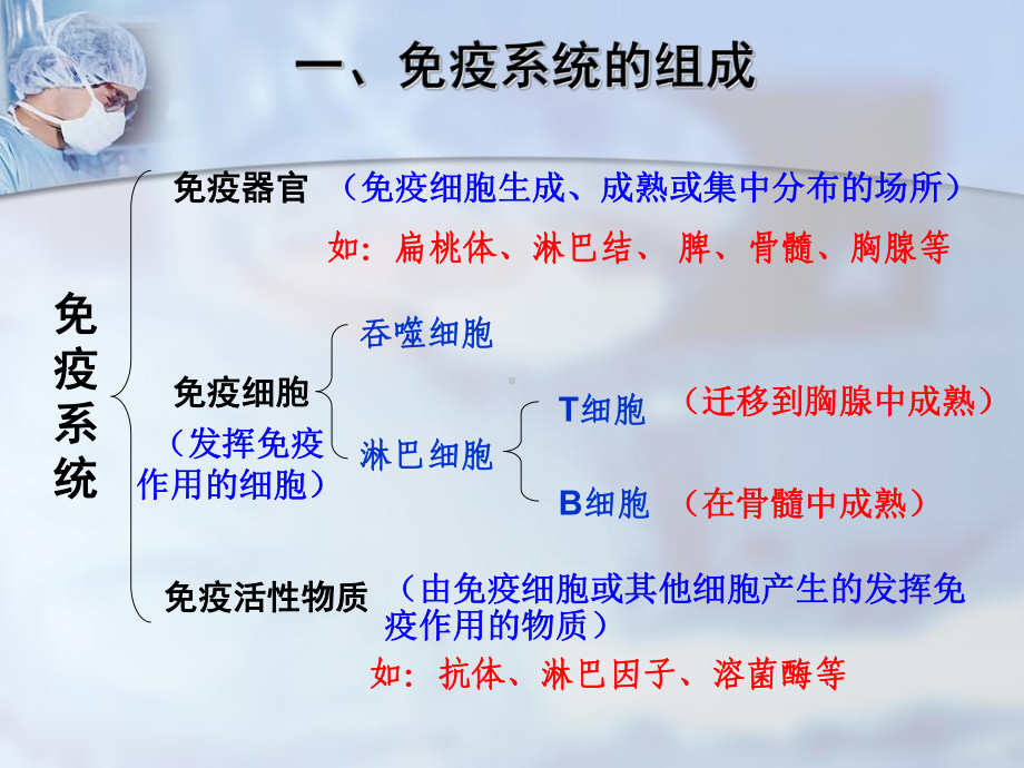 免疫调节一等奖-完整版PPT课件.ppt_第2页