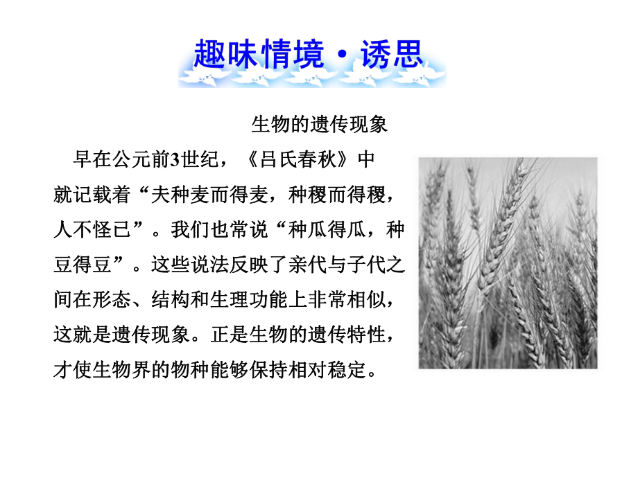 《第一节-核酸是遗传物质的证据》课件3.ppt_第2页