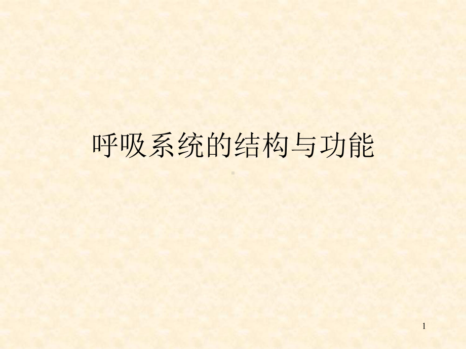 呼吸系统的结构与功能PPT课件.ppt_第1页