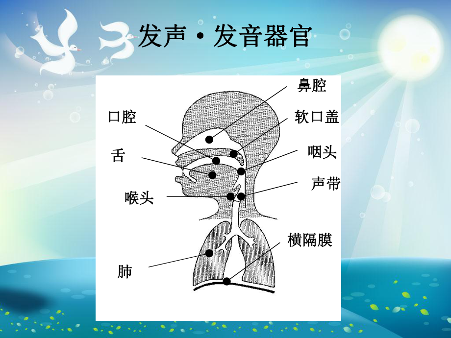 儿童幼儿的言语训练课件.ppt_第3页