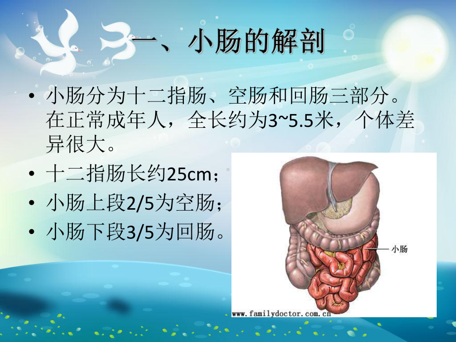 小肠疾病课件.ppt_第2页