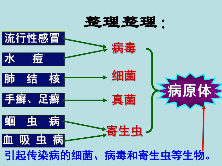 人教版生物八年级下册课件：8.1.1传染病及其预防.ppt_第3页