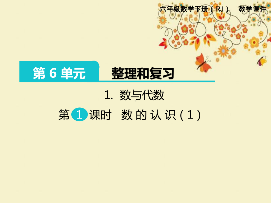 人教版六年级下册数学（数的认识教学课件）.pptx_第1页