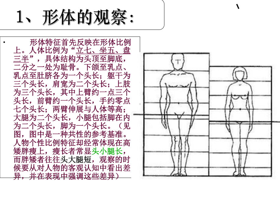 人物速写透视比例专题培训课件.ppt_第2页