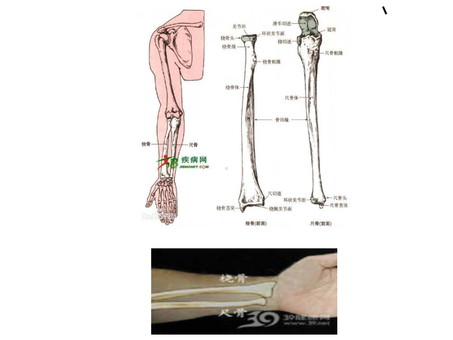 人物速写透视比例专题培训课件.ppt_第3页