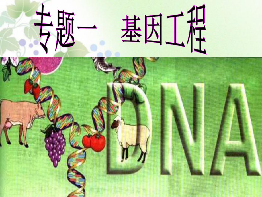 人教版高中生物选修三专题一第1节-DNA重组技术的基本工具-课件(共64张PPT).ppt_第1页