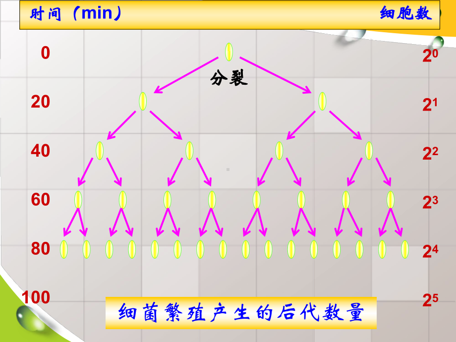 人教版高中生物必修三4.1《种群的特征》课件-(共63张PPT).ppt_第3页